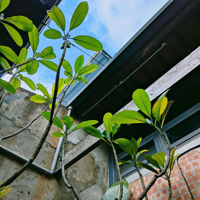 水倉依舊 住宿相片集 照片