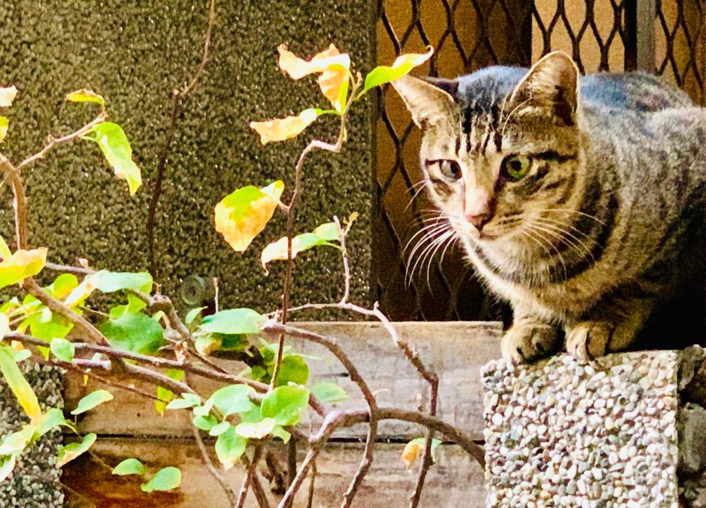 宿影 住宿相片集 照片