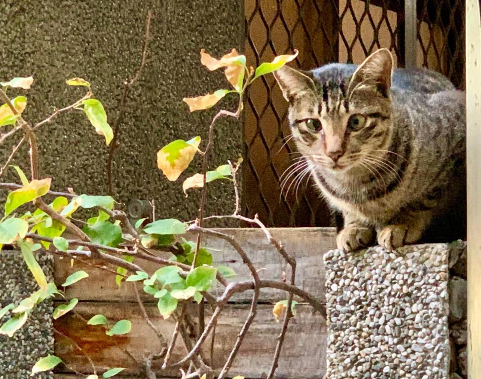 宿影 住宿相片集 照片